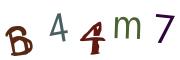 Bild-CAPTCHA