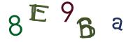 Bild-CAPTCHA