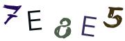 Bild-CAPTCHA