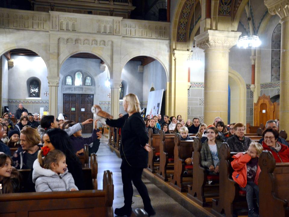 Abenteuerland Elisabeth