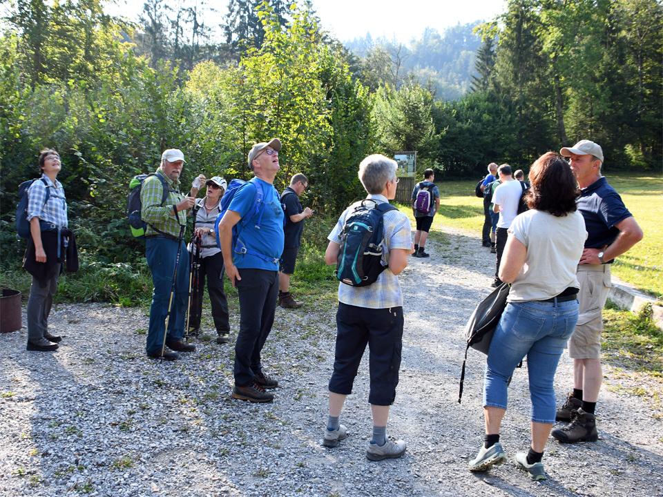 Standeswallfahrt 2020