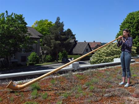 Ein DANKE zum Himmel