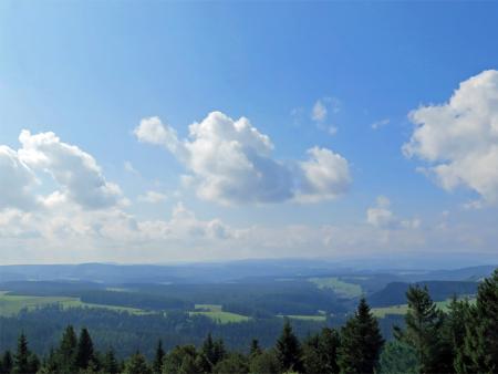 Tagesausflug in den Hochschwarzwald