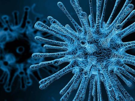 Wichtige Mitteilung für den Pastoralraum Neuhausen-Hallau