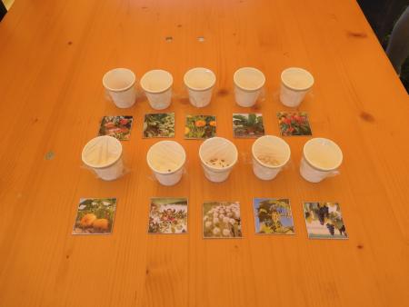 Abenteuerland Wachsen