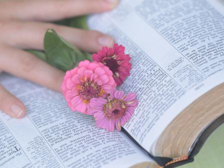 Wortgottesfeier mit Kommunion - "Frauen in der Bibel"