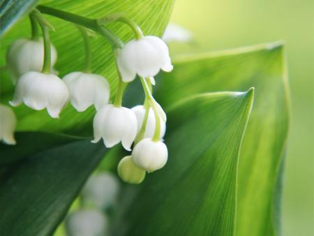Maiandachten im Pastoralraum