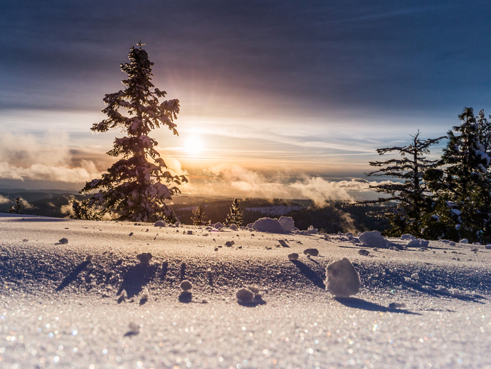 Winterlandschaft