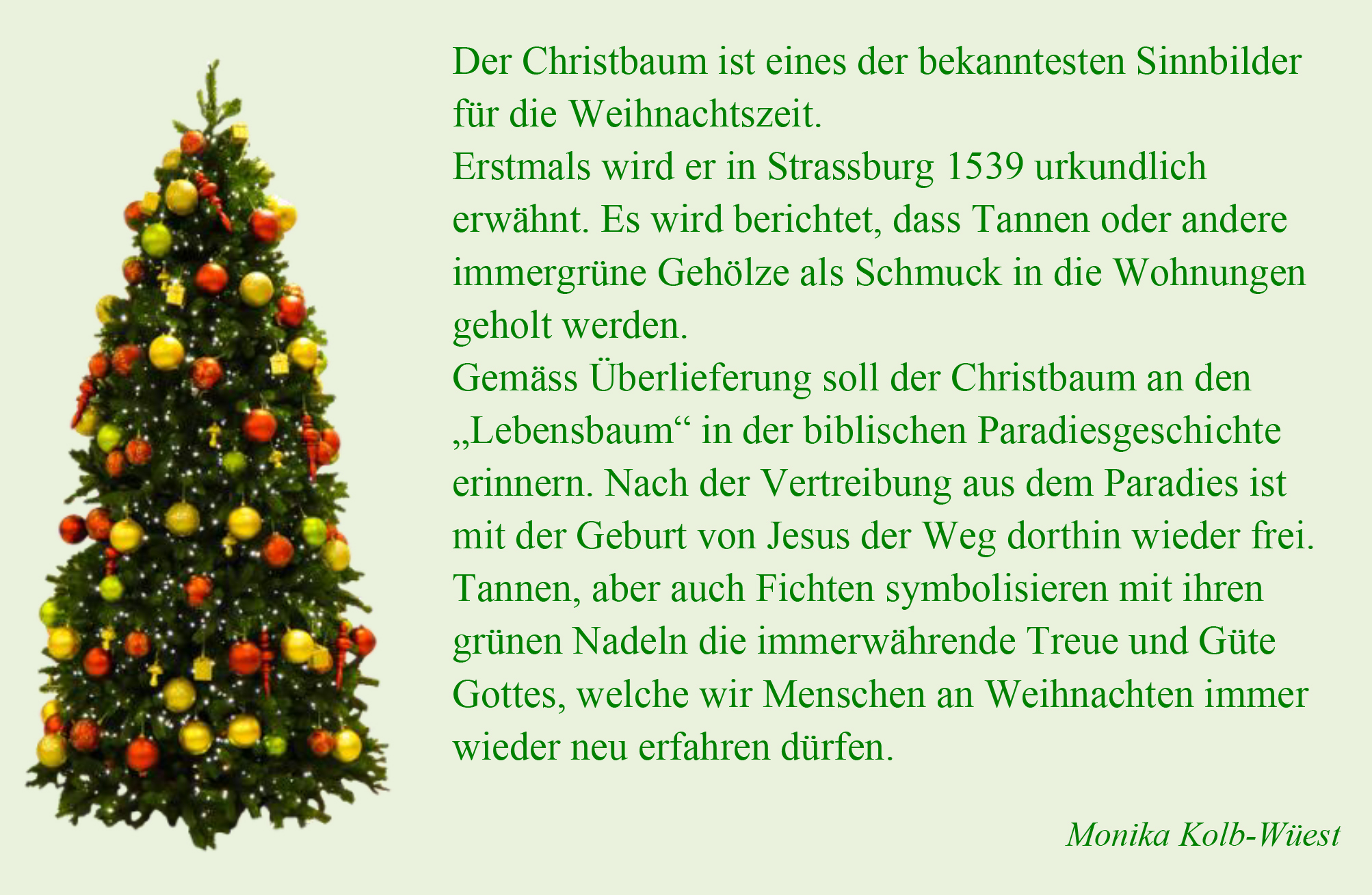 Weihnachtsbaum